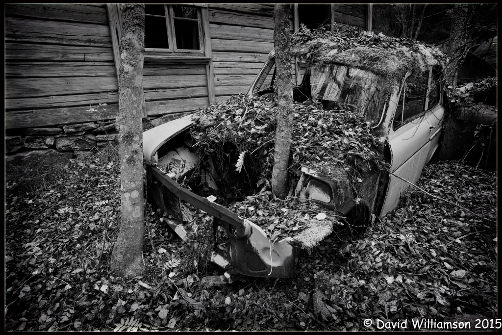 20151031-untitled shoot-48-Edit