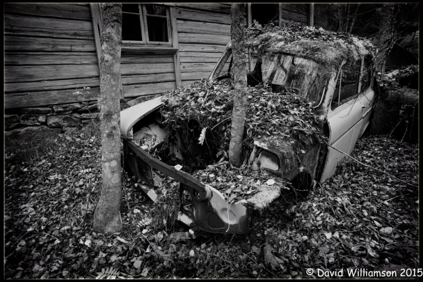 20151031-untitled shoot-48-Edit