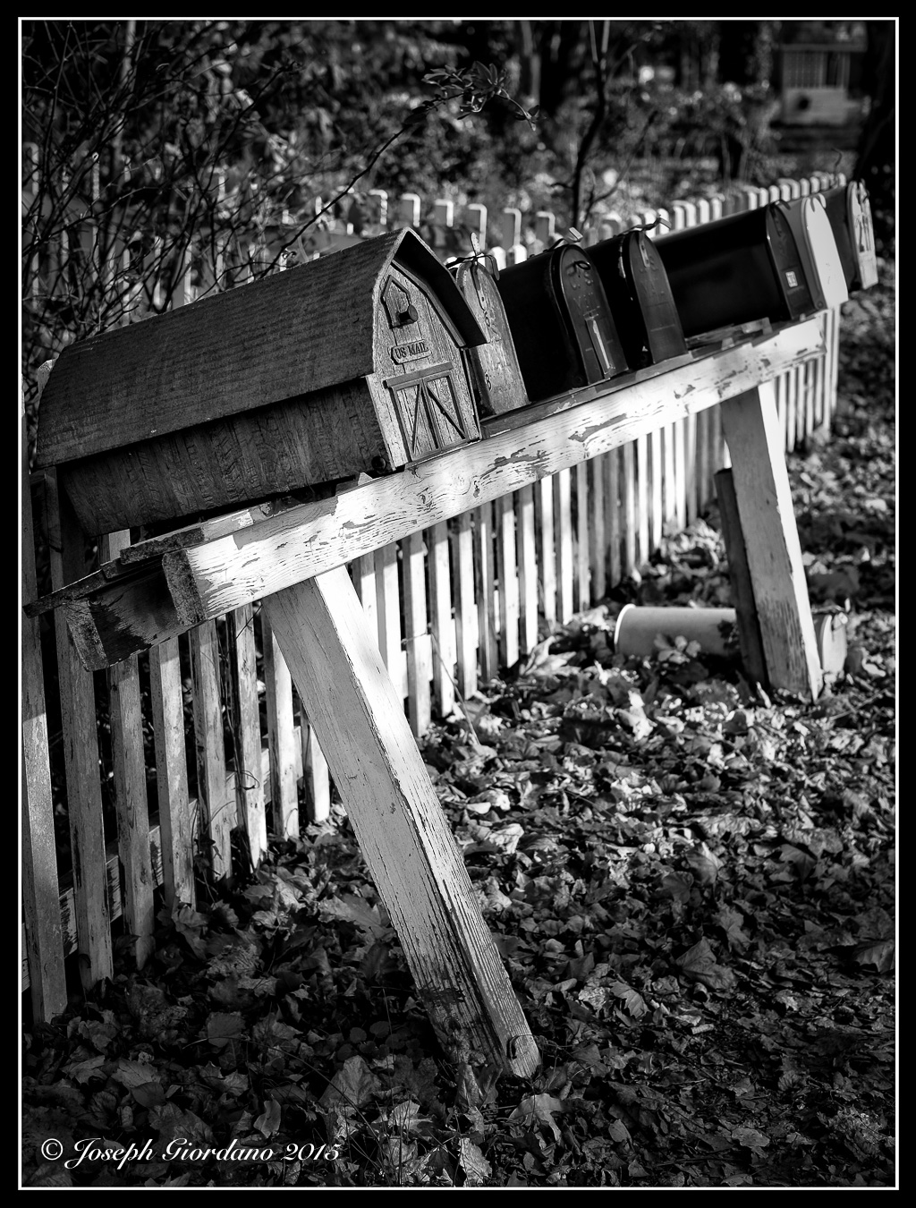 Postal-BW