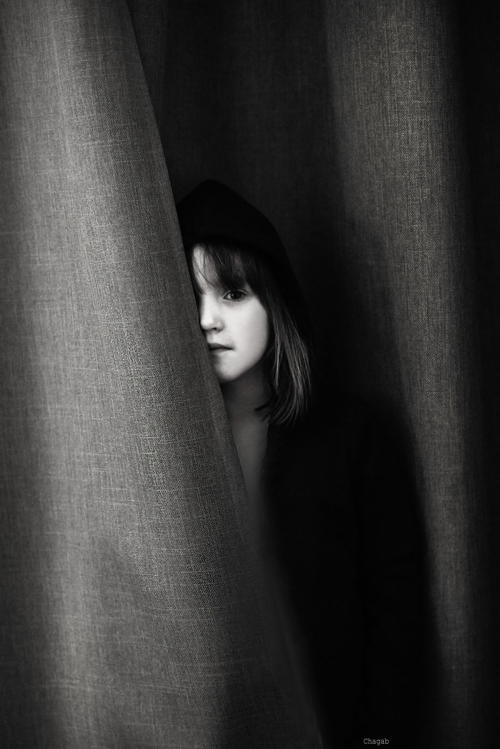 rideau-monochromia