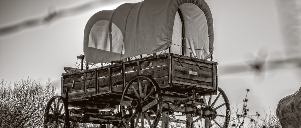 f/4 1/2500 sec ISO 200 