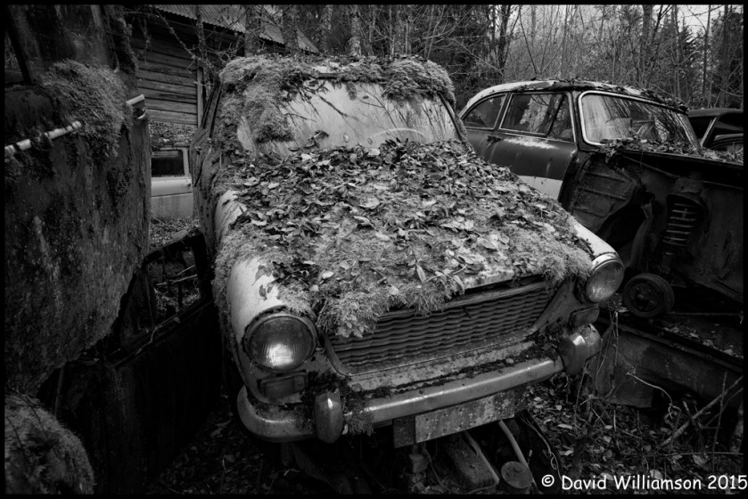 20151031-untitled shoot-47-Edit-Edit