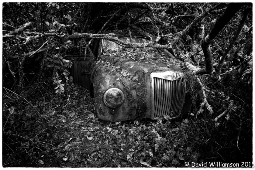 20151031-untitled shoot-80-Edit