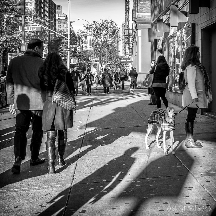 Dog in burberry plaid coat and woman with checkered purse, New York City Upper West Side