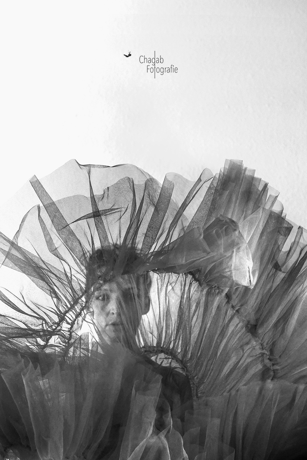 danseuse-monochromia