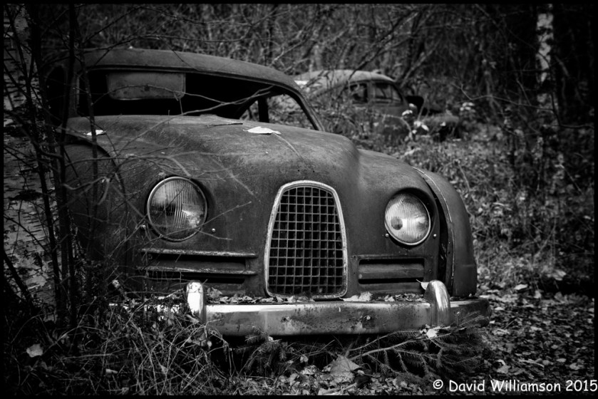 20151031-untitled shoot-182-Edit