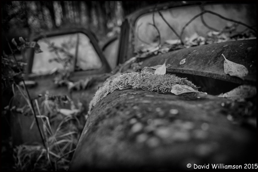 20151031-untitled shoot-226-Edit