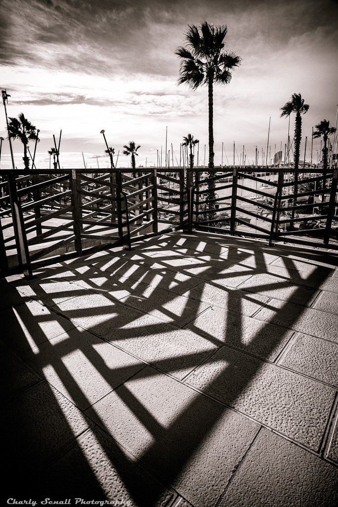 _DSC1214_Dic_2015-bin