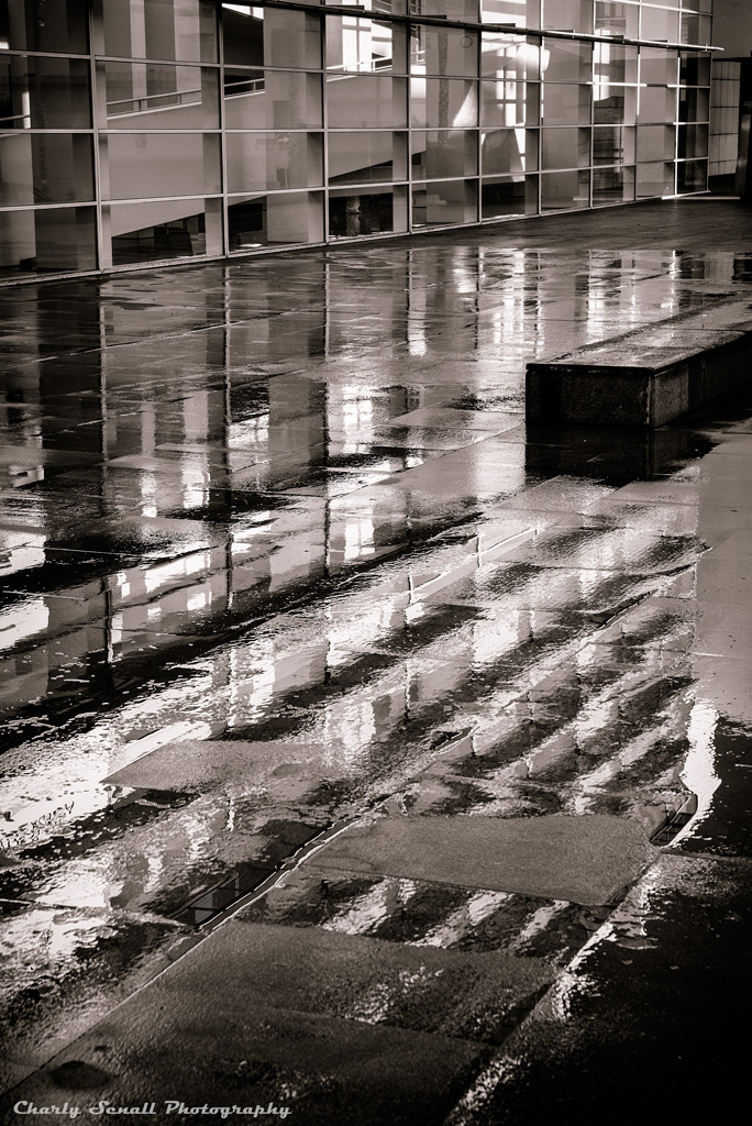 _DSC1261_Dic_2015-bin