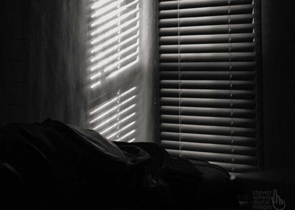 The view from my desk