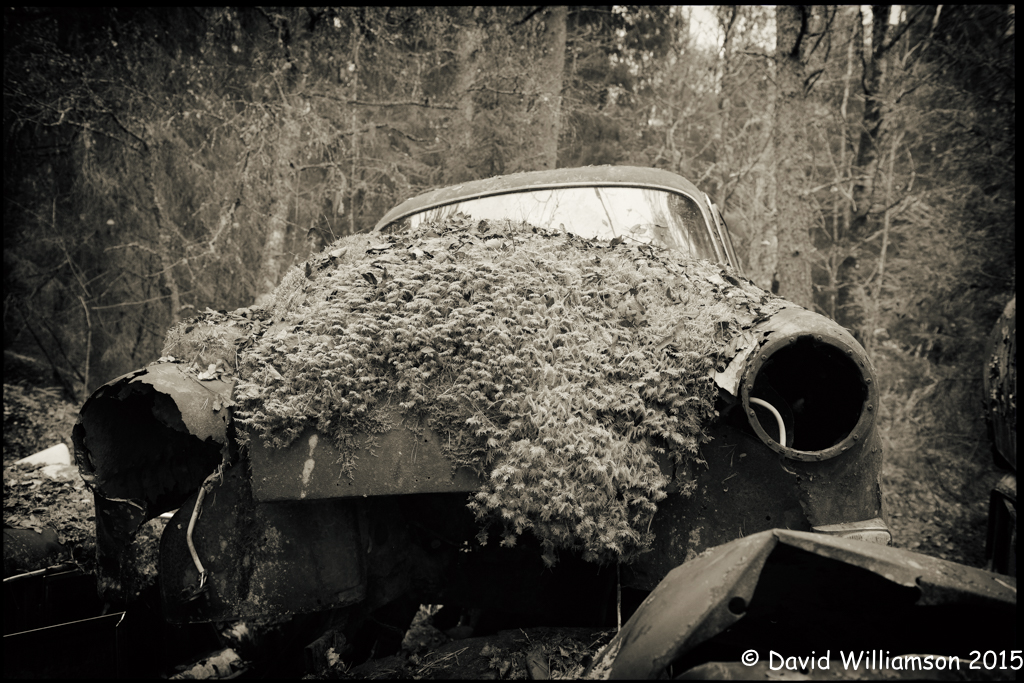 20151031-untitled shoot-115-Edit