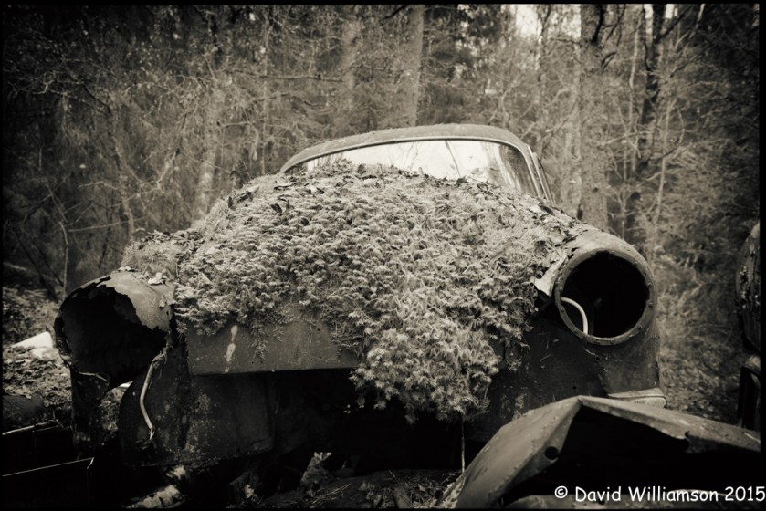 20151031-untitled shoot-115-Edit