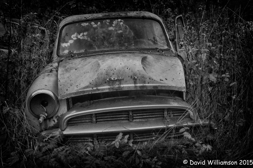 20151031-untitled shoot-210-Edit-Edit