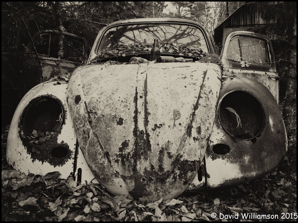 20151031-untitled shoot-26-Edit