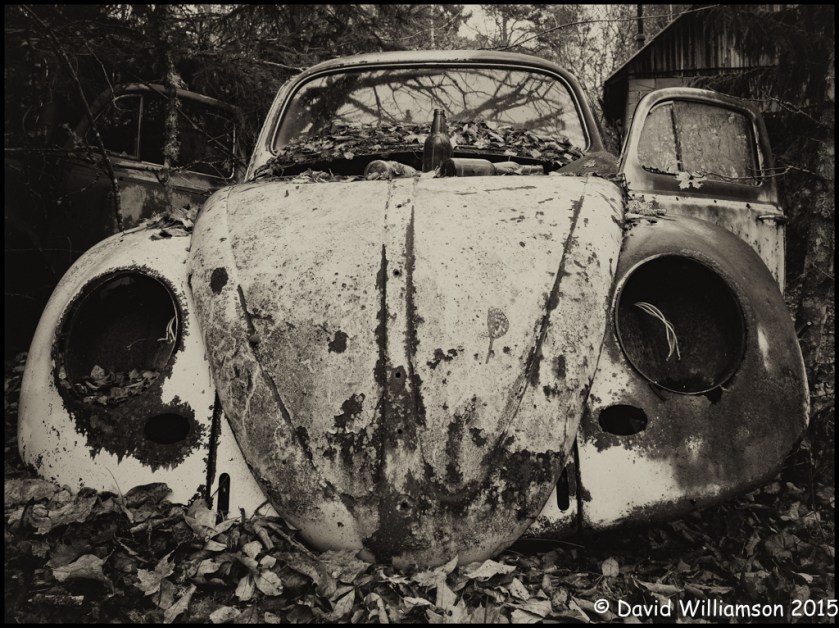 20151031-untitled shoot-26-Edit