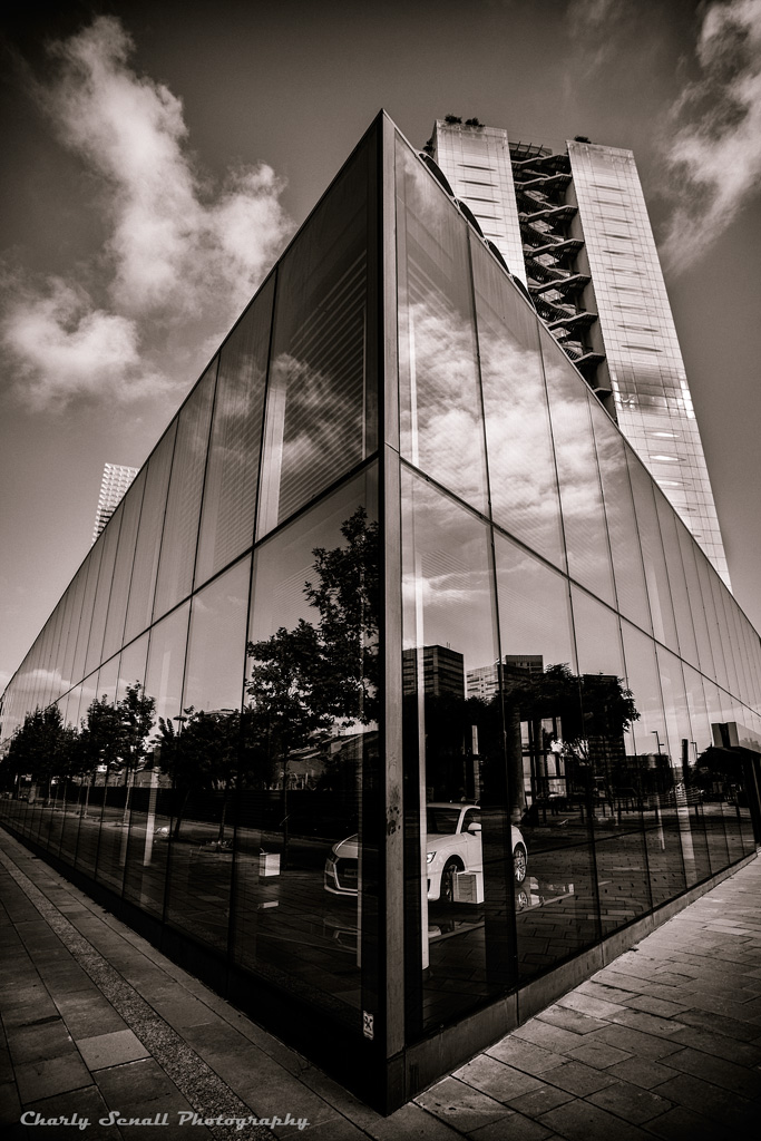 _DSC0889_Oct_2015-bin