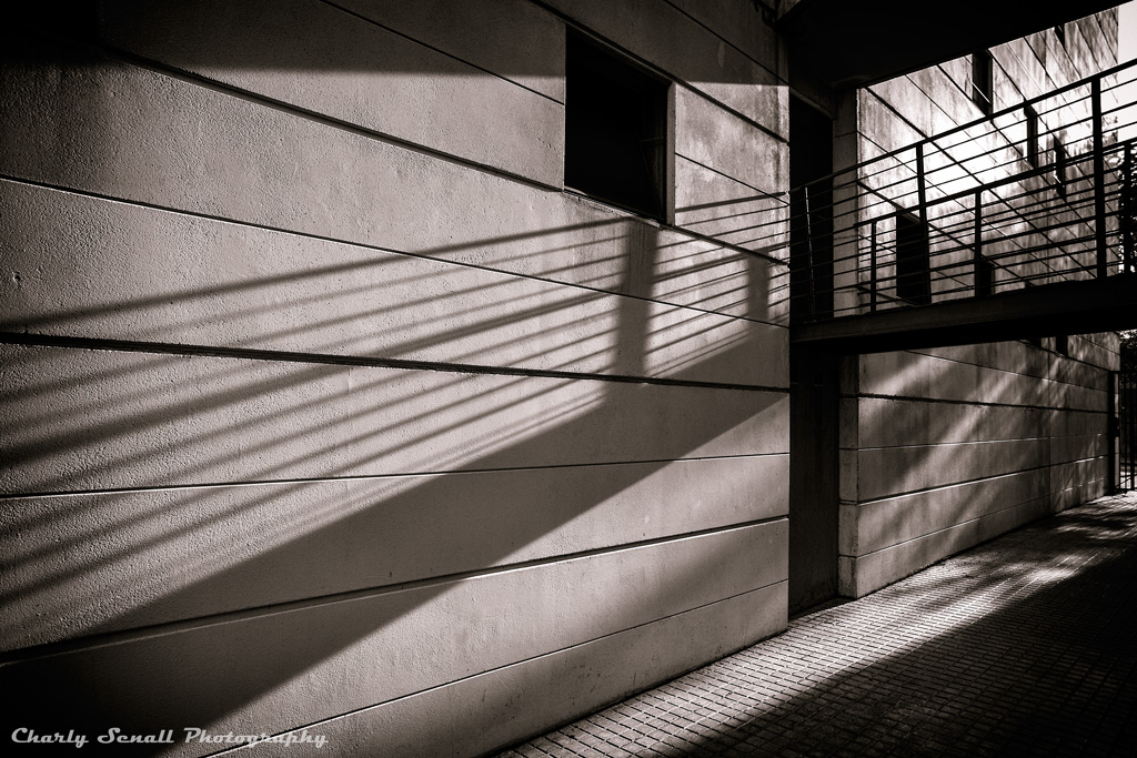 _DSC1188