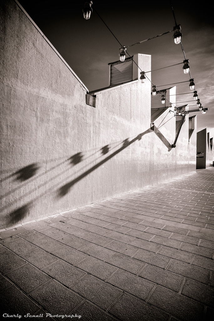 _DSC1208_Dic_2015-bin