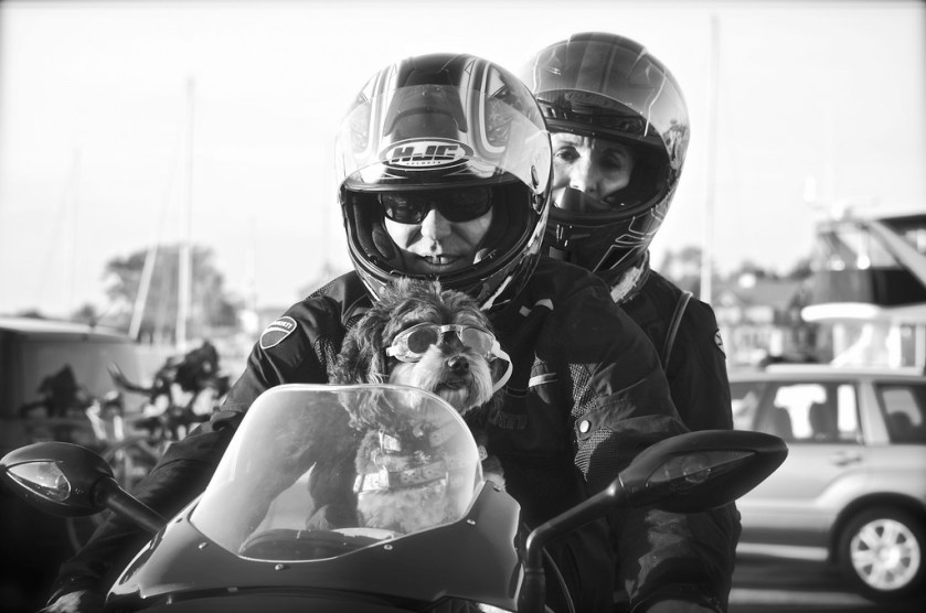 15321092875_332d203fb4_b