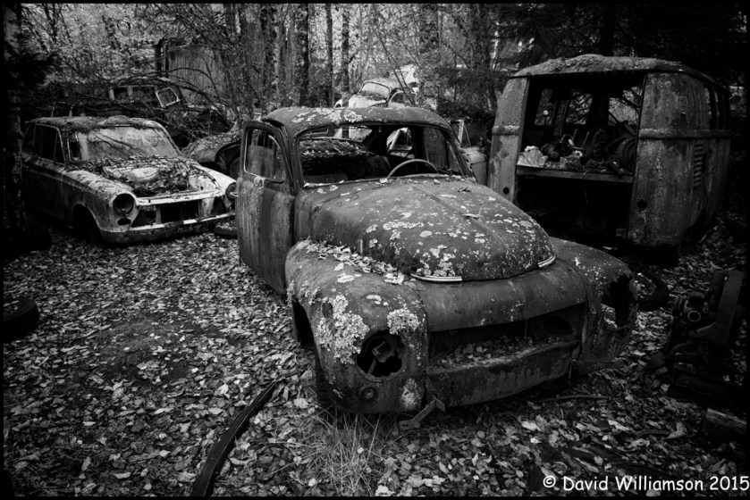 20151031-untitled shoot-137-Edit