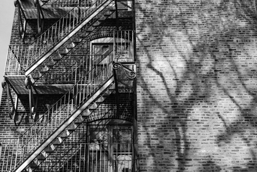 25717132941_00fa59cfe4_b