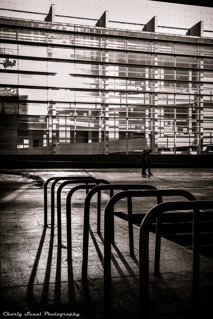 _DSC1273_Dic_2015-bin