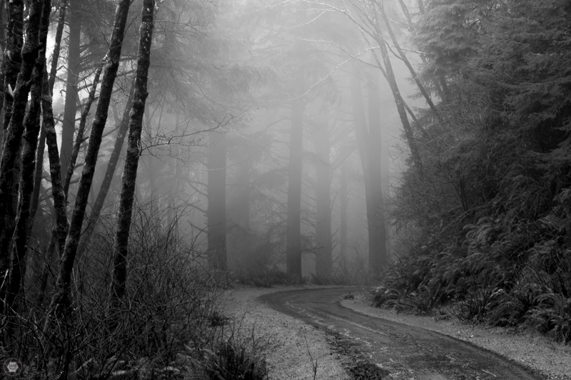 20160214-0N8A1960-Edit