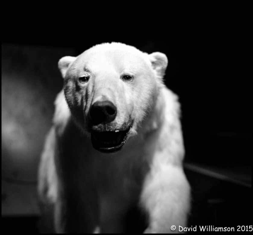 20160322-untitled shoot-8-Edit