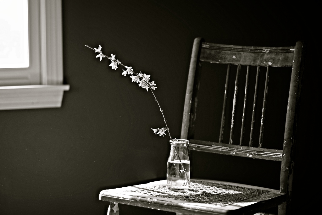 26288614215_0260676297_o