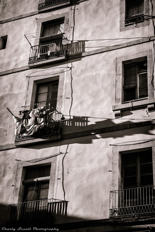 _DSC1282_Dic_2015-bin