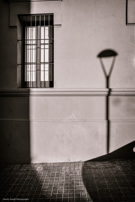 _DSC2268_Abr_2016_bin