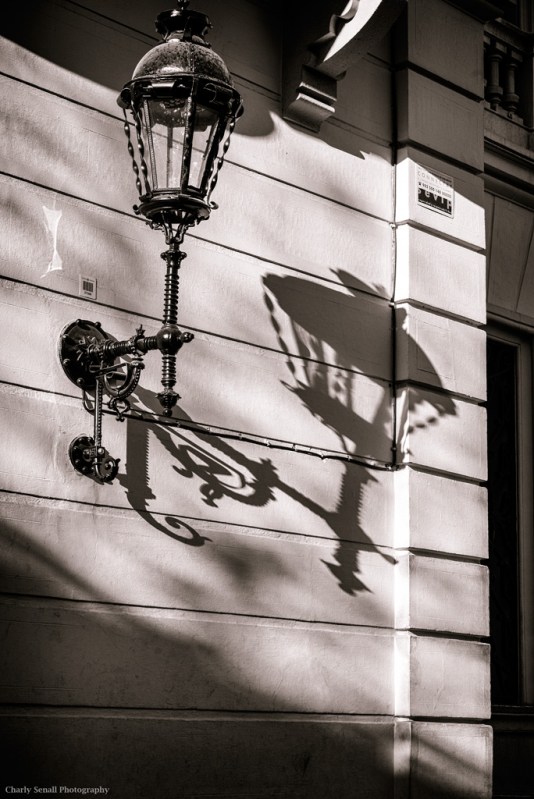 _DSC2286_Abr_2016_bin