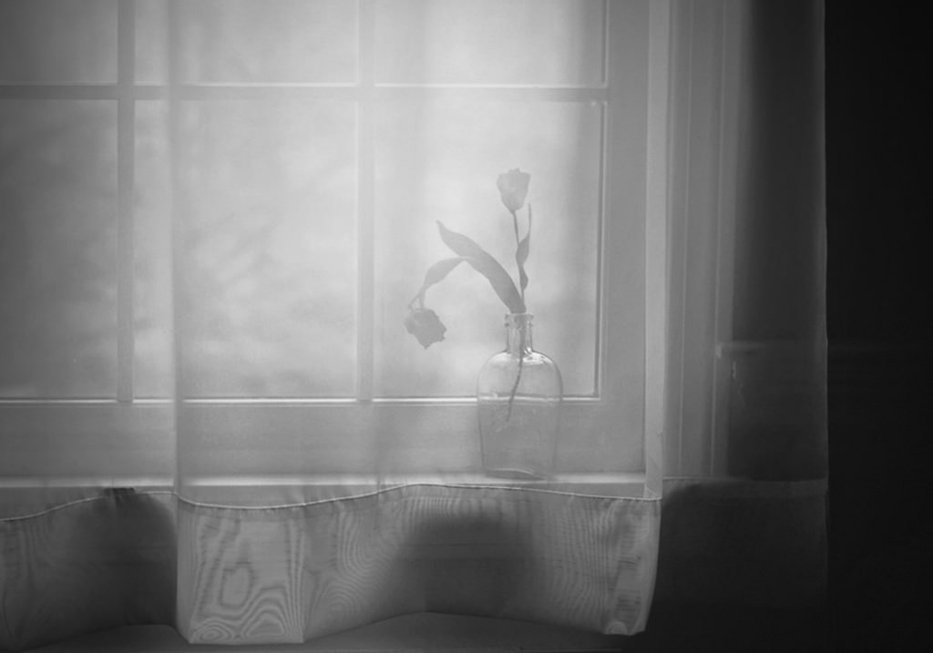 26212187553_be644f1a1a_b