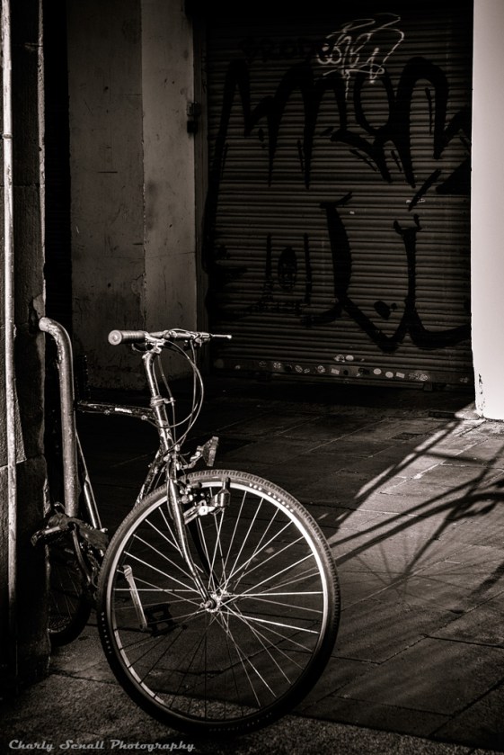 _DSC1283_Dic_2015-bin