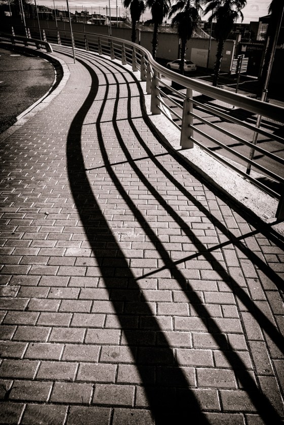 _DSC2310_Abr_2016_bin