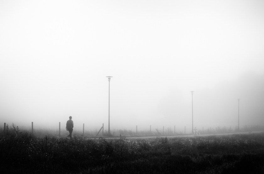 fog-2