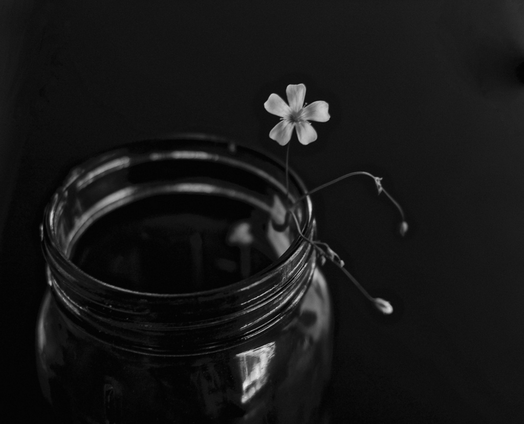 27418077760_106aff06a1_b