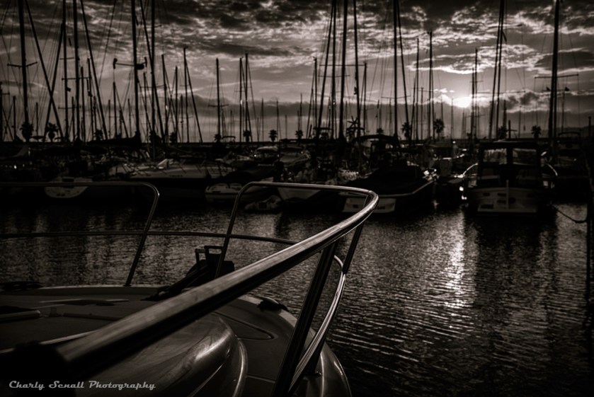 _DSC0996_Oct_2015-bin