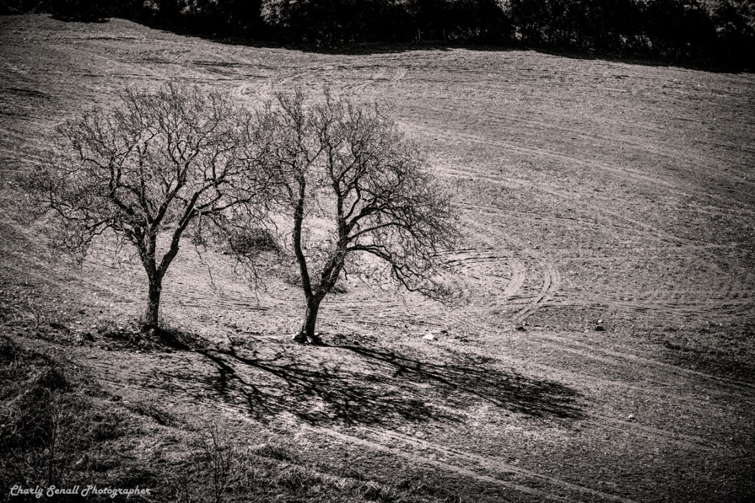 _DSC1248_Jun_2016_bin