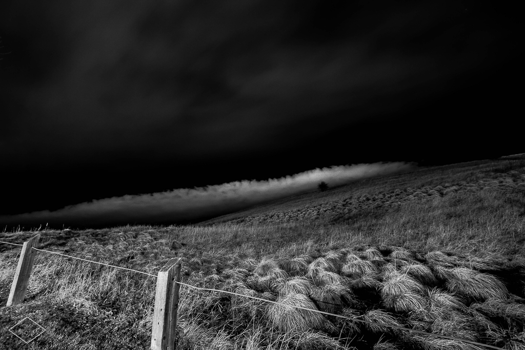 GrassyField-R (1 of 1)