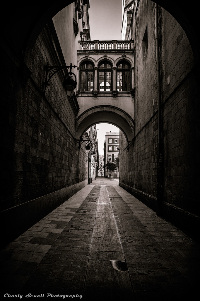 _DSC1151_Nov_2015_bin