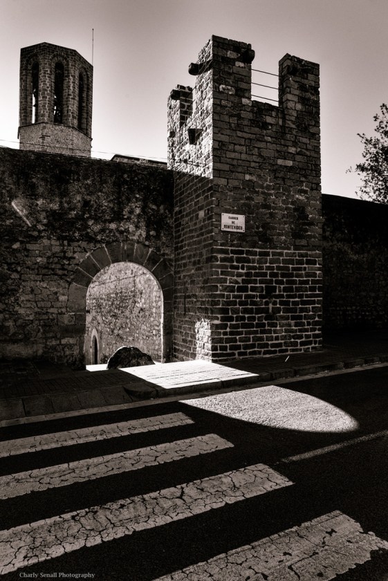 _DSC2293_Abr_2016_bin