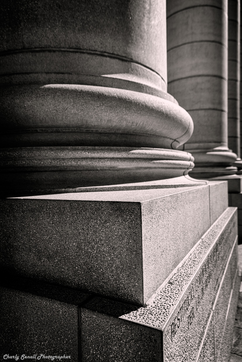 _DSC9338_Jun_2016_bin