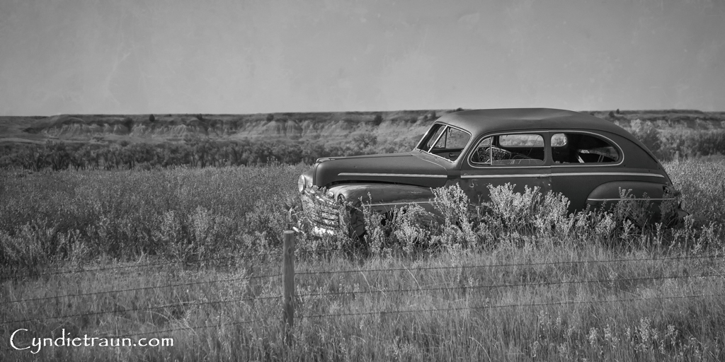 Road to Nowhere 3473