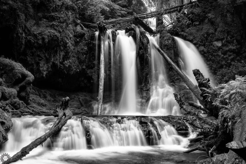 20160709-0N8A3364-Edit