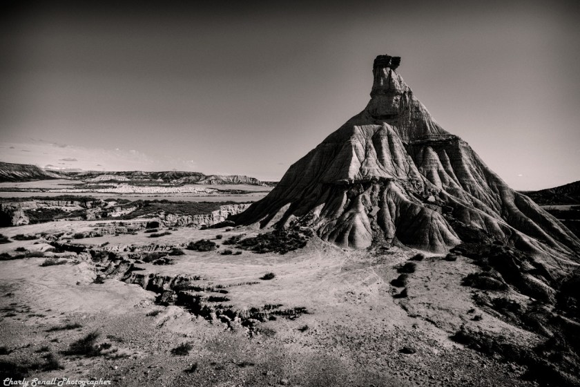 _DSC0344_Ago_2016_bin