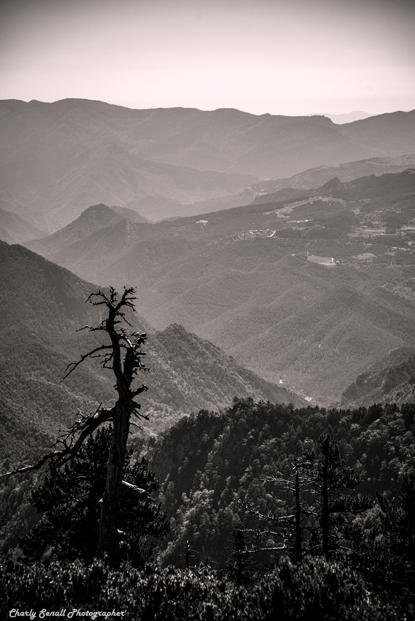 _DSC0751_Ago_2016_bin