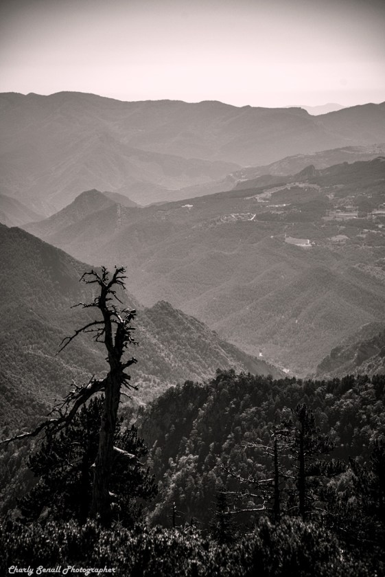 _DSC0751_Ago_2016_bin