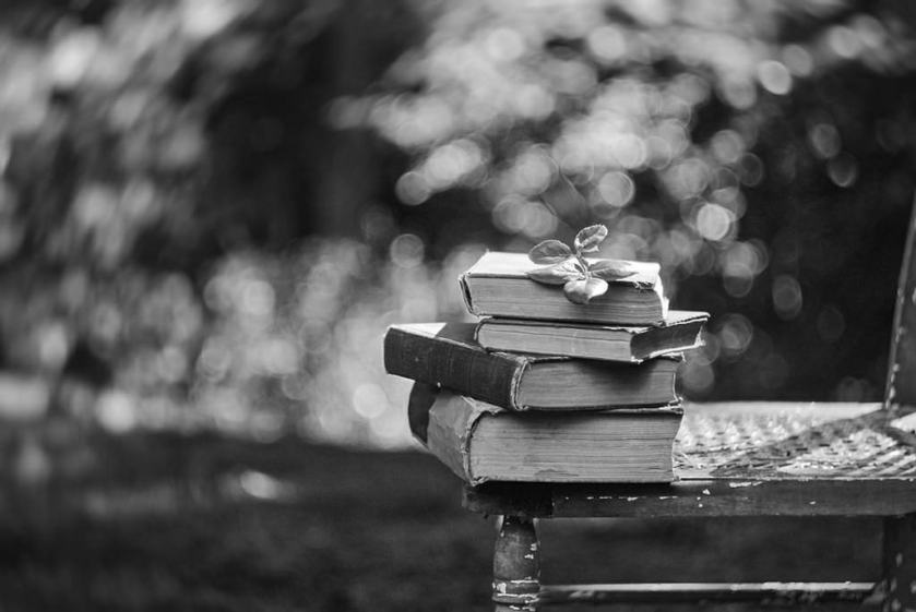 29482047501_32b00c8272_bbooks-and-bokeh