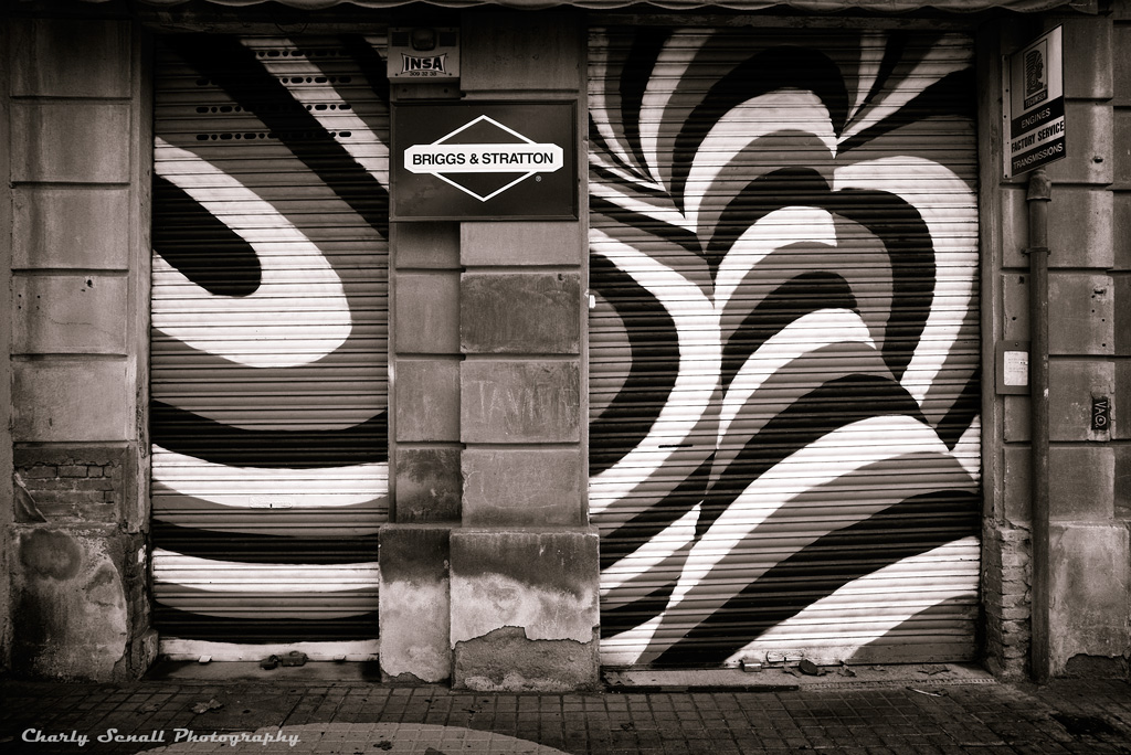 _dsc0363-bin